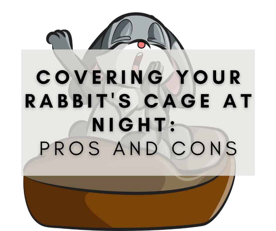 Should You Cover Your Rabbit's Cage at Night Pros and Cons